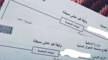 وزيرة الداخلية تحدد سعر وخطوات استخراج القيد العائلي لعام 2025 عبر الإجراءات الرسمية الجديدة